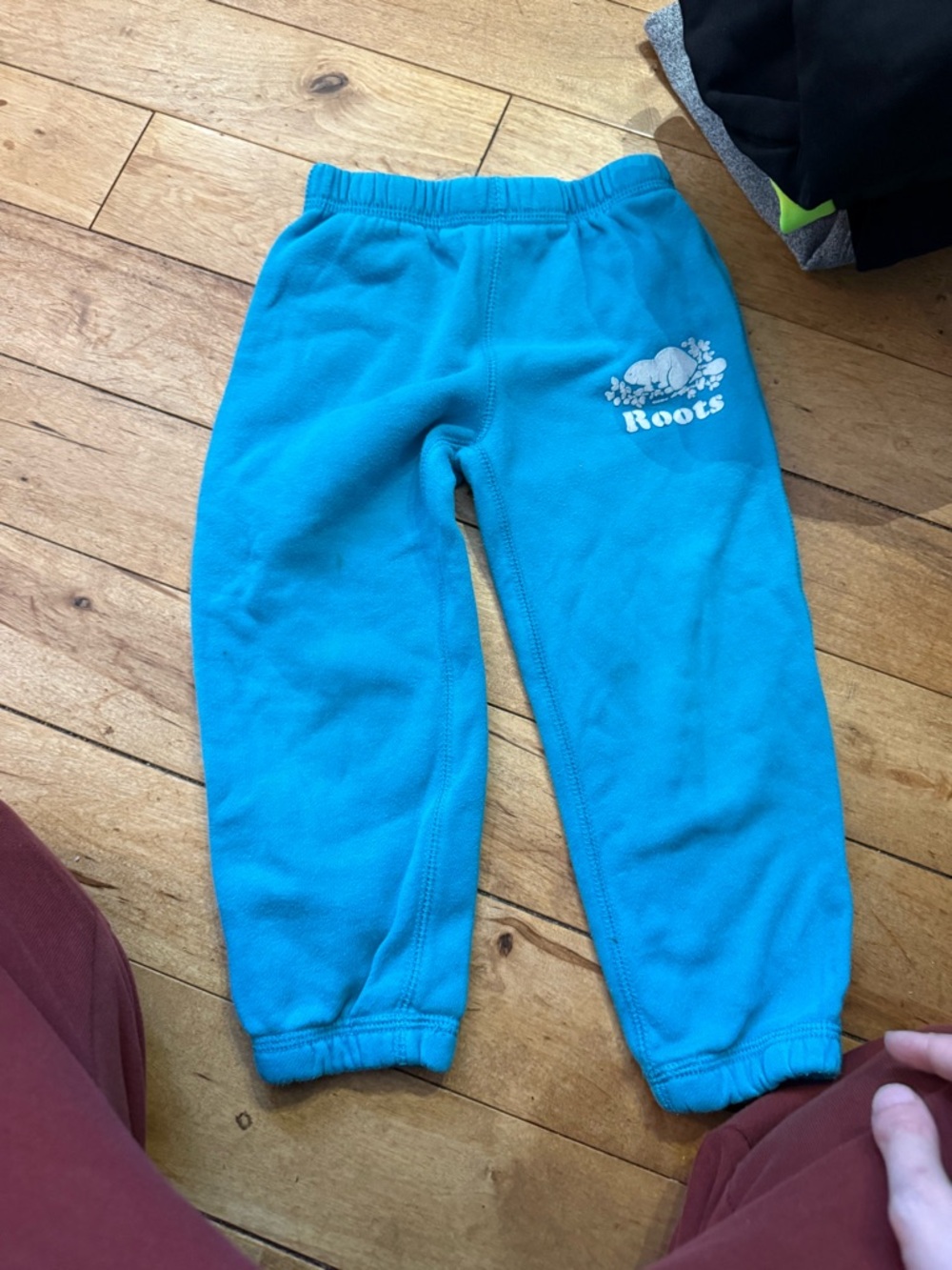 Roots Kids Bright Teal Fleece Joggers
